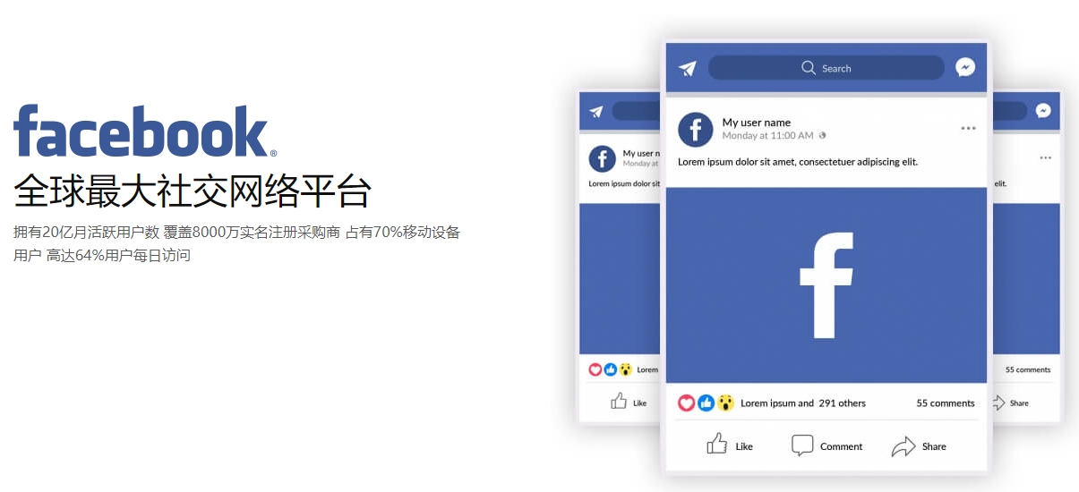 衡阳海外社交媒体营销  第1张